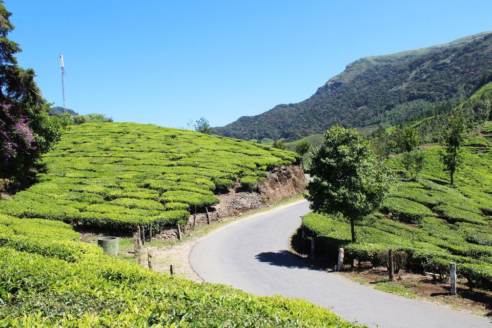 Photo of 6 Reasons why you must visit kerala by Vinay Chelwani