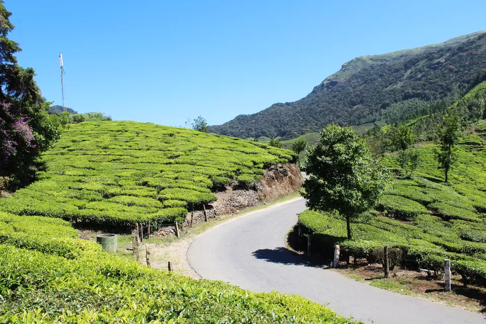 Photo of 6 Reasons why you must visit kerala by Vinay Chelwani