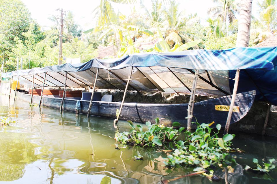Photo of 6 Reasons why you must visit kerala by Vinay Chelwani