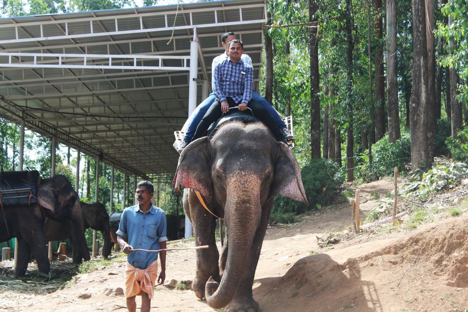 Photo of 6 Reasons why you must visit kerala by Vinay Chelwani