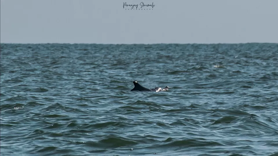 Photo of Gokarna - The Perfect Weekend Getaway by Puranjay Shrimali