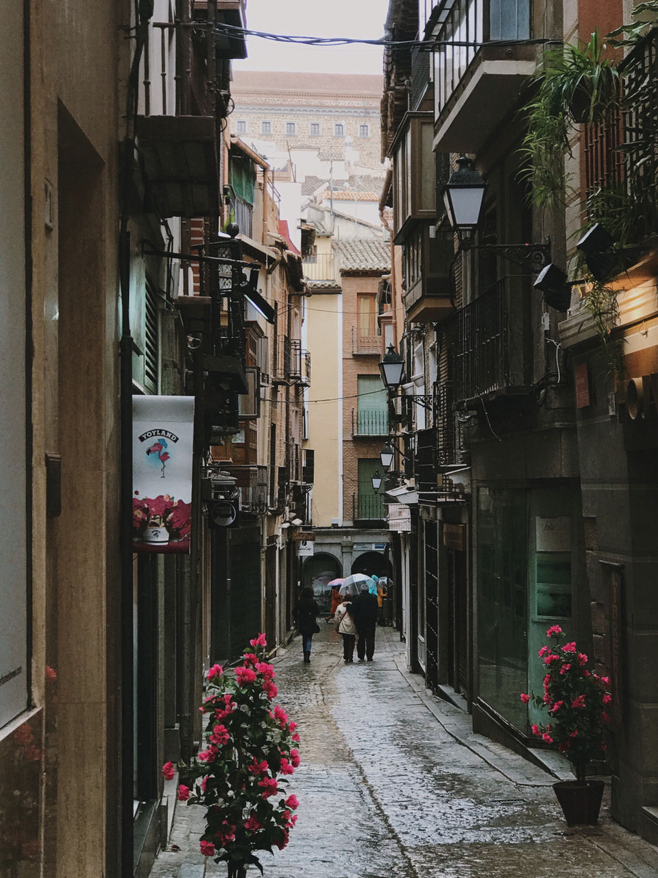 Photo of Toledo, Spain by Janaki Subramaniam