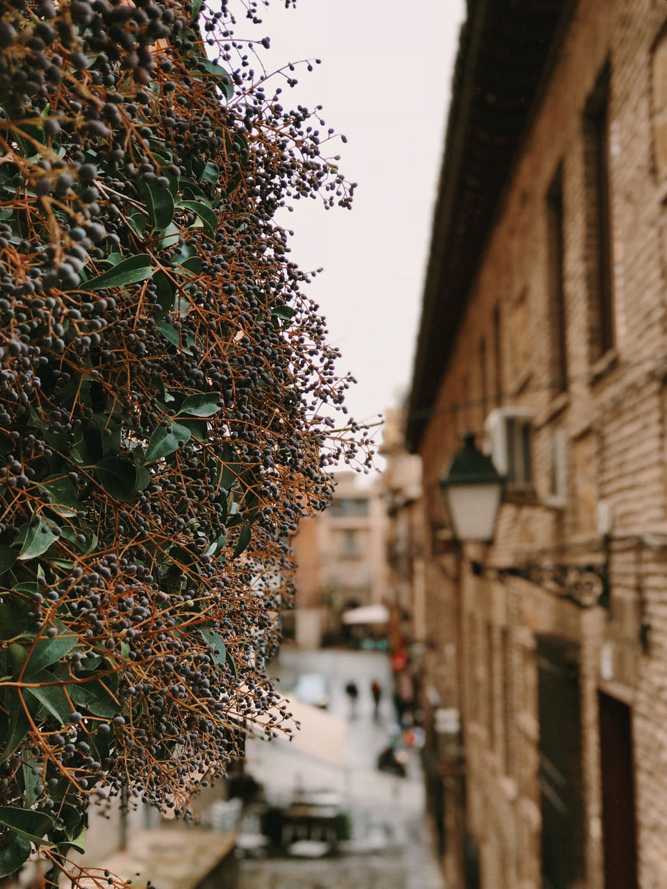 Photo of TOLEDO - Walking Through The 12th Century. by Janaki Subramaniam