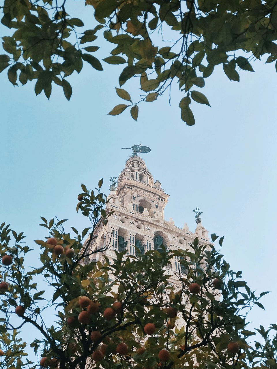 Photo of I found love in Seville by Janaki Subramaniam