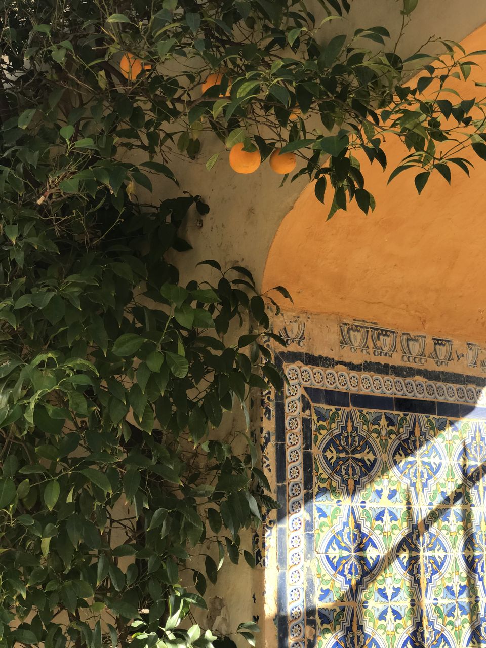 Photo of I found love in Seville by Janaki Subramaniam