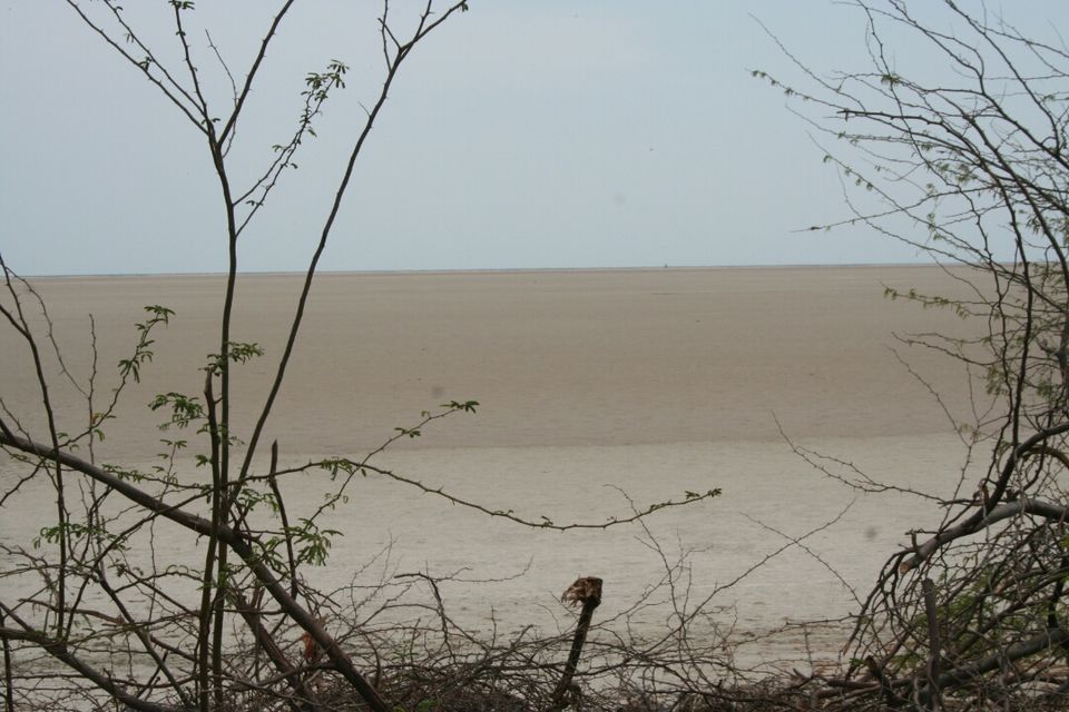 Photo of Dhanushkodi Beach, Tamil Nadu, India by Dijo cj