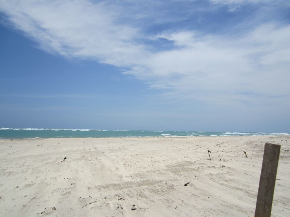 Photo of Dhanushkodi Beach, Tamil Nadu, India by Dijo cj