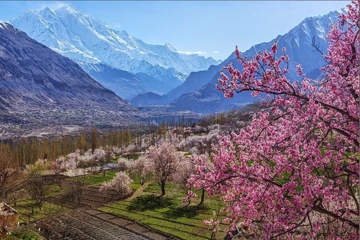 Photo of Hunza Gojal Valley Cherry Blossom Tour 1/1 by Rock Valley Tours Pvt Ltd