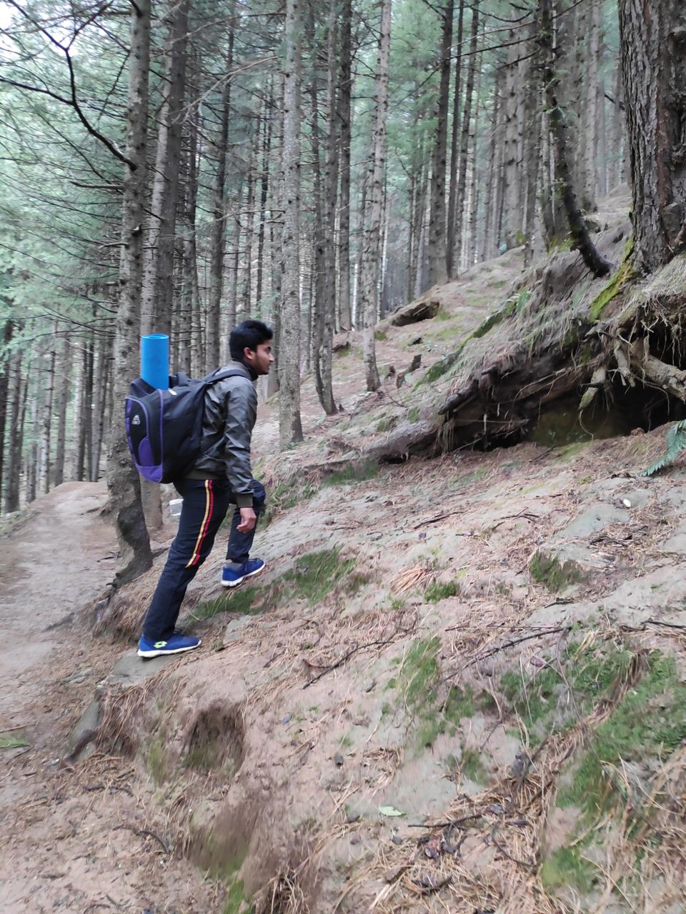 Photo of A surprising trek for Manali visitors.. by Al- Zaim