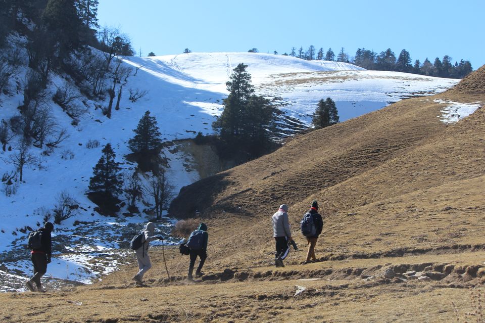 Photo of Journey to Dayara Bugyal 18/20 by ABHI KHANDELWAL