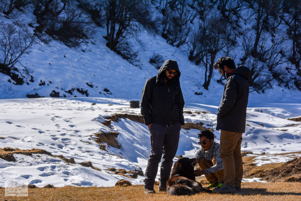 Photo of Journey to Dayara Bugyal 19/20 by ABHI KHANDELWAL