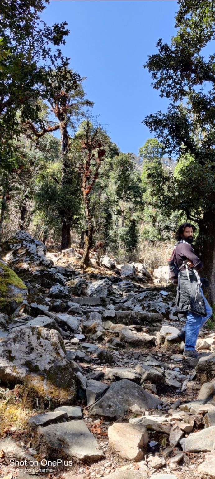 Photo of Dayara bugyal trek Uttarkashi by Amitosh Sharma