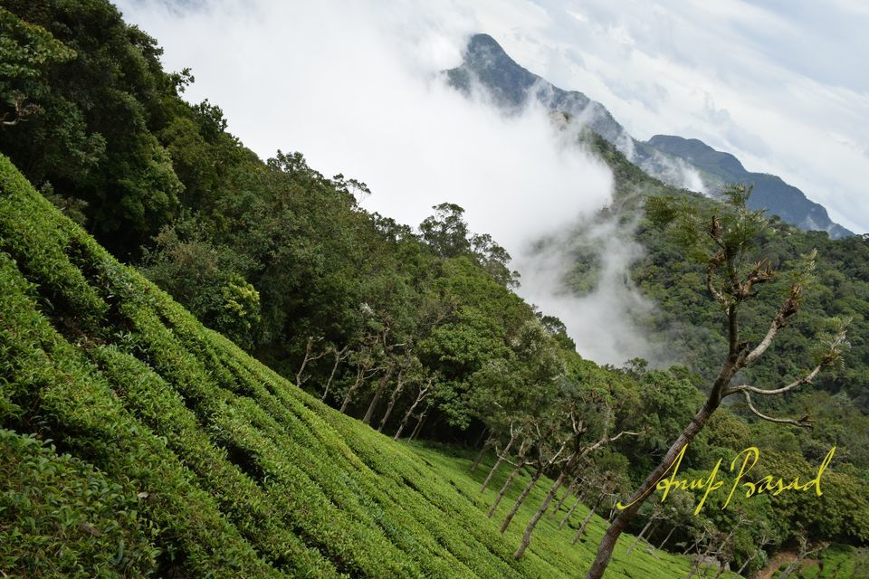 Photo of Ooty, Tamil Nadu, India by Kabira Speaking