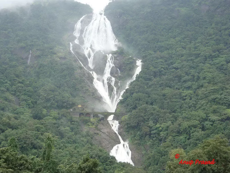 Photo of दूधसागर वॉटरफॉल, DoodhSagar Waterfalls Trail, Sonaulim, Goa, India by Kabira Speaking