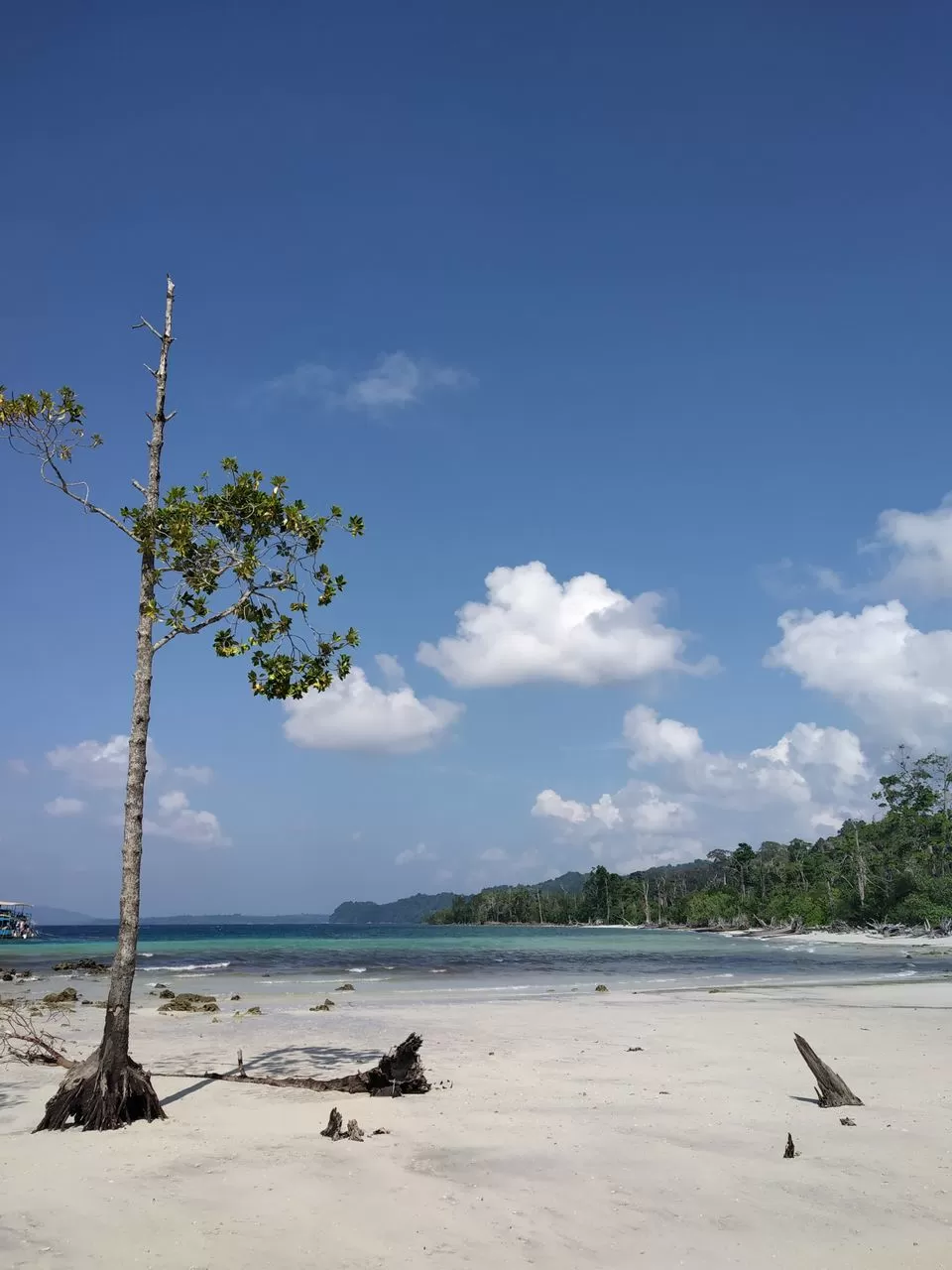 Photo of Elephant Beach, Port Blair, Andaman and Nicobar Islands, India by Kabira Speaking