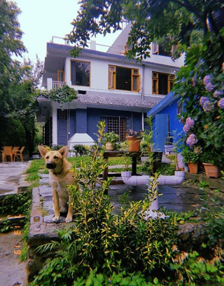 Photo of The Blue Sheep Tirthan, PO, Banjar, Himachal Pradesh, India by Kabira Speaking
