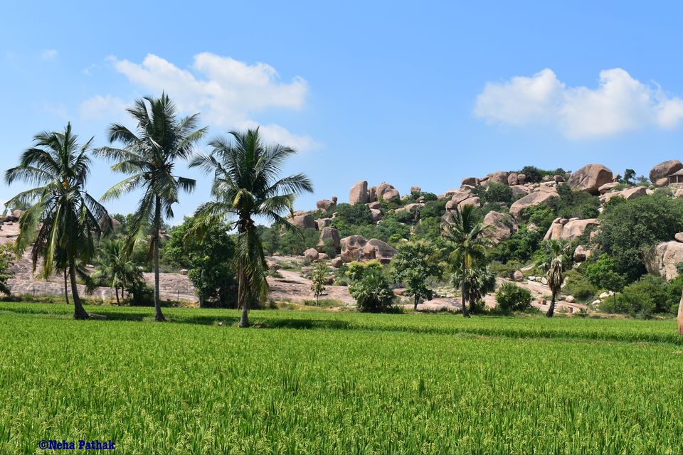 Photo of Bare hands on boulders (Hippie Island, Hampi) 1/2 by Neha Pathak