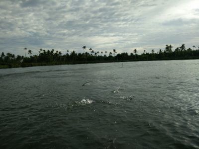Photo of Cherai Beach, Vypin, Kerala, India by Novita Arora