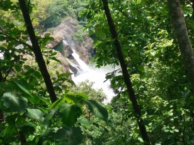 Photo of Athirapalli Falls And Vazhachal Falls by Novita Arora