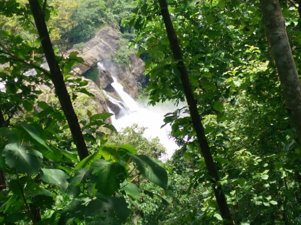 Photo of Athirapalli Falls And Vazhachal Falls by Novita Arora