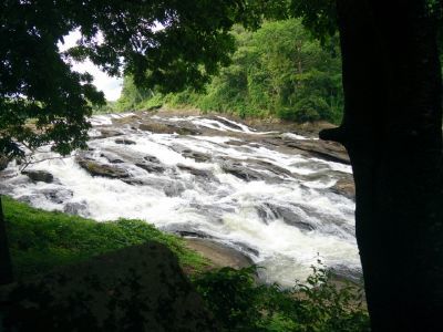 Photo of Athirapalli Falls And Vazhachal Falls by Novita Arora