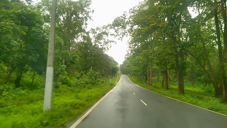 Photo of Kodagu, Karnataka, India by Jatin Devaiah