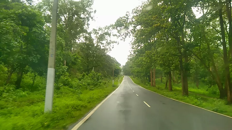Photo of Kodagu, Karnataka, India by Jatin Devaiah