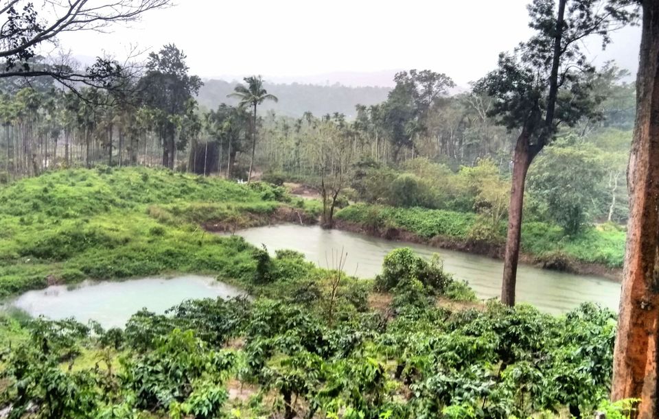 Photo of Kodagu, Karnataka, India by Jatin Devaiah