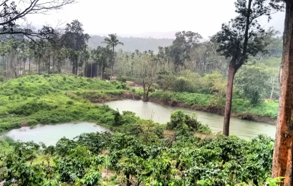 Photo of Kodagu, Karnataka, India by Jatin Devaiah