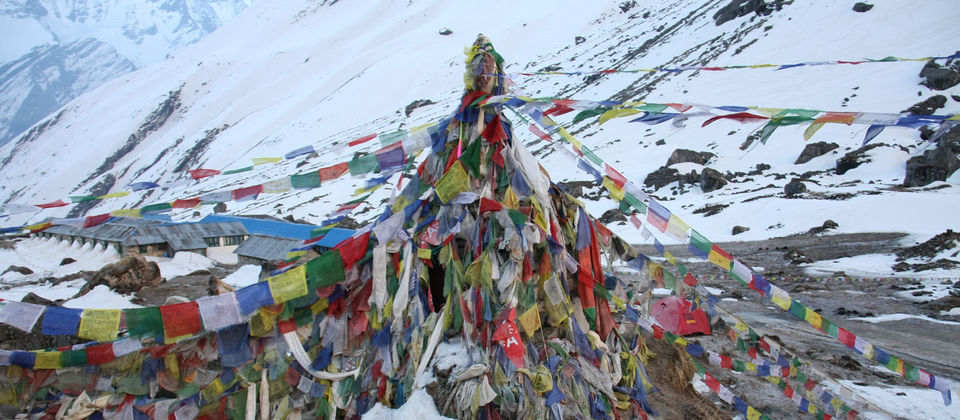 Photo of Annapurna Base Camp Trek 15 Days - Ambition Himalaya 1/1 by Hike Nepal