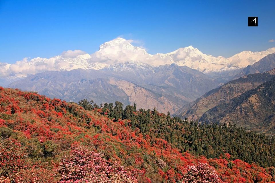 Photo of Ghorepani, Nepal by Hike Nepal
