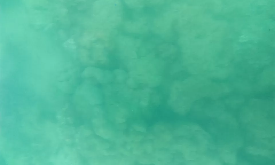 Photo of North Bay Island, Andaman and Nicobar Islands, India by Manali Narse