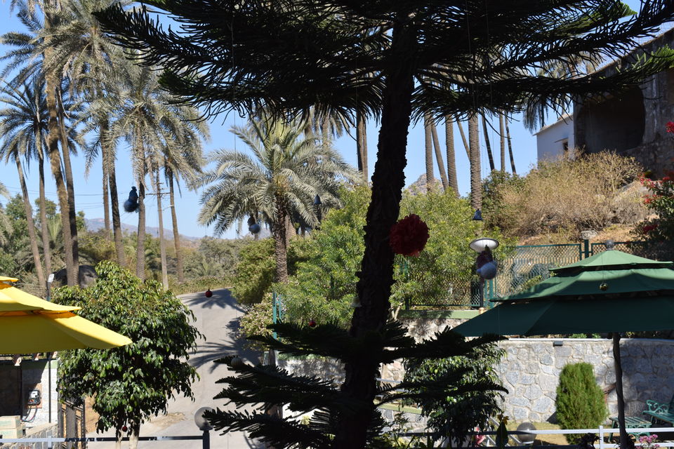 Photo of Mount Abu, Rajasthan, India by Shubham Shrivastava