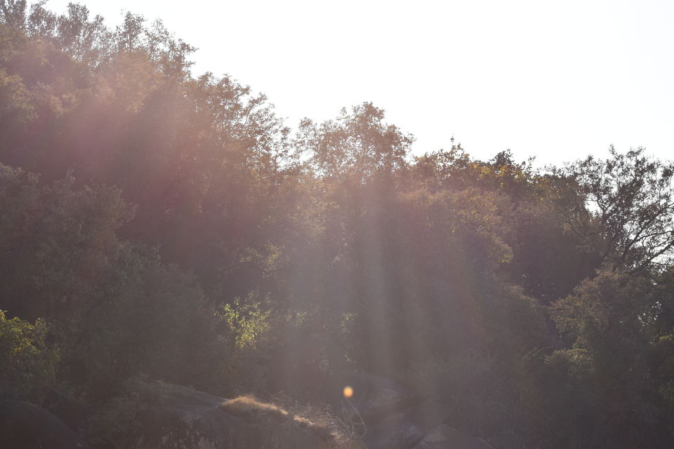 Photo of Honeymoon Point, Ganesh Road, Mount Abu, Rajasthan, India by Shubham Shrivastava