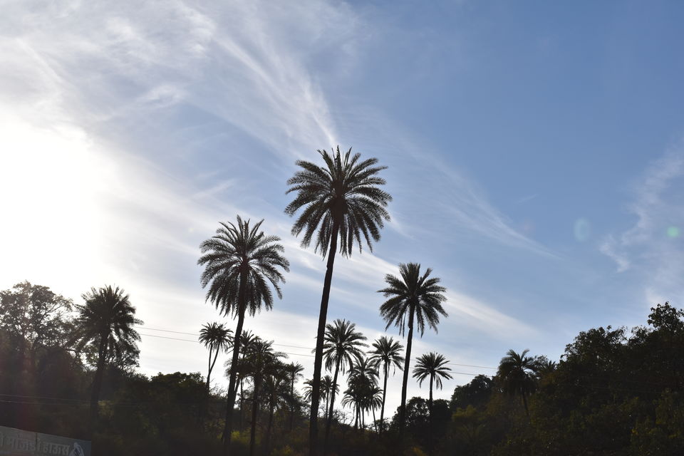 Photo of 3 Days Trip To Arbudanchal by Shubham Shrivastava