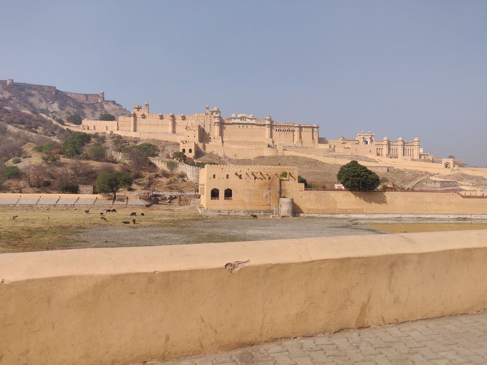 Photo of Reasons why should you visit Jaipur! 4/7 by Siddhima