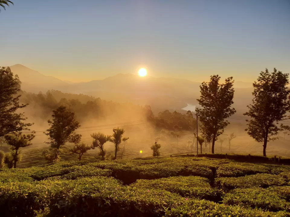Photo of Ruhaniyaat of Munnar by Shreya Bharadwaj