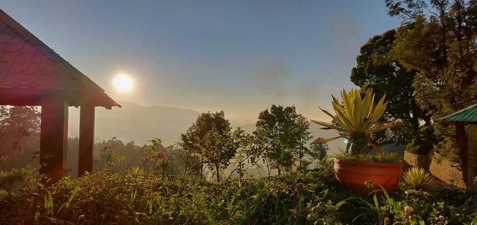 Photo of Ruhaniyaat of Munnar by Shreya Bharadwaj