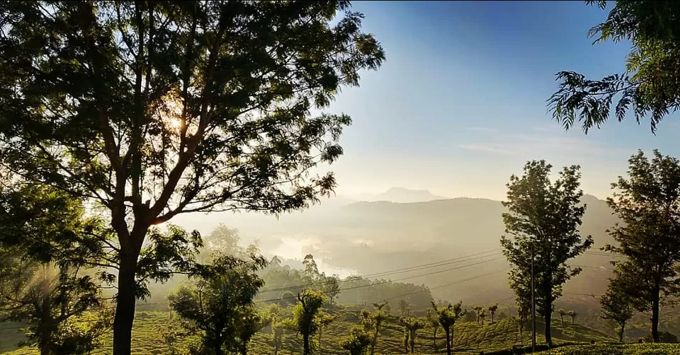 Photo of Ruhaniyaat of Munnar by Shreya Bharadwaj