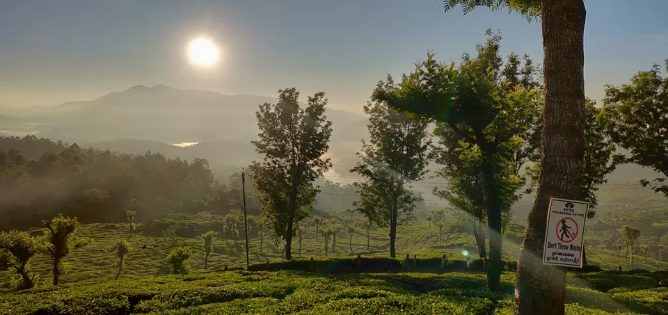 Photo of Ruhaniyaat of Munnar by Shreya Bharadwaj