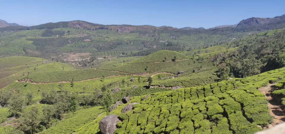 Photo of Ruhaniyaat of Munnar by Shreya Bharadwaj