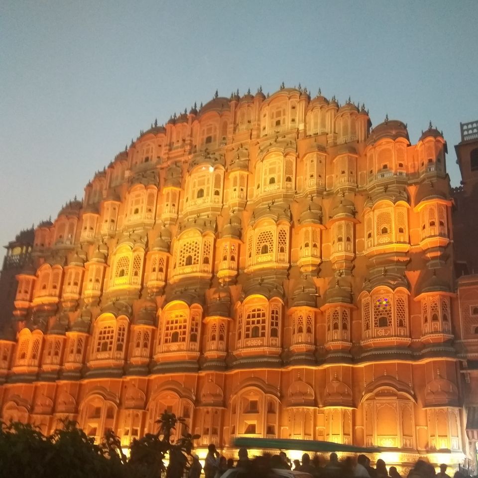 Photo of Winter blossoms in the ‘Pink City’! 1/2 by Shuchi Sareen