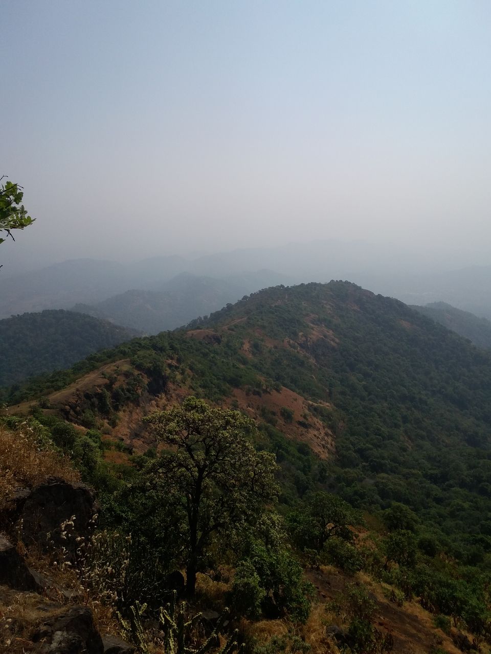 Photo of Get lost in the wilderness of Kamandurg 1/8 by The Herbal Monks