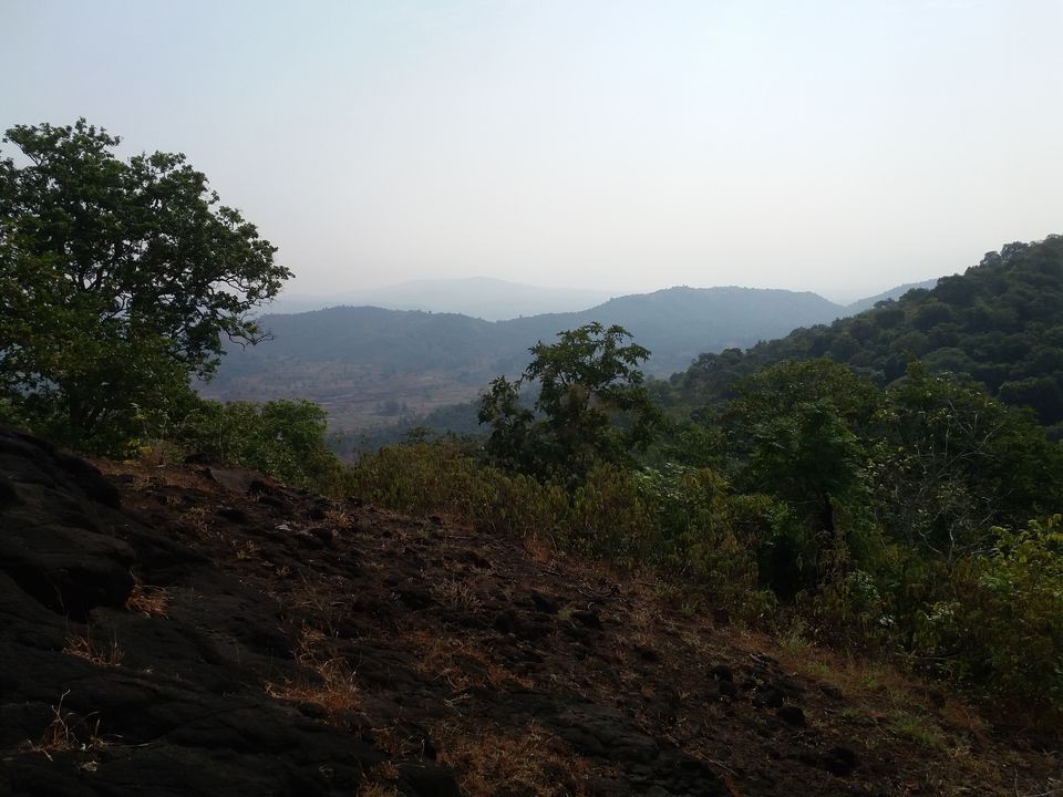 Photo of Get lost in the wilderness of Kamandurg 5/8 by The Herbal Monks