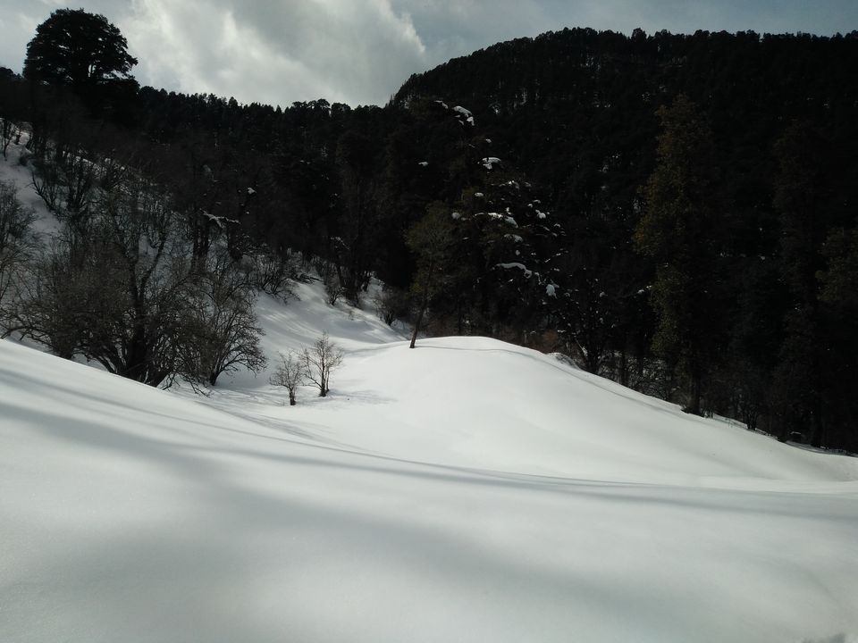 Photo of Dayara Bugyal, Taknaur Renge, Uttarakhand, India by Parin Parikh