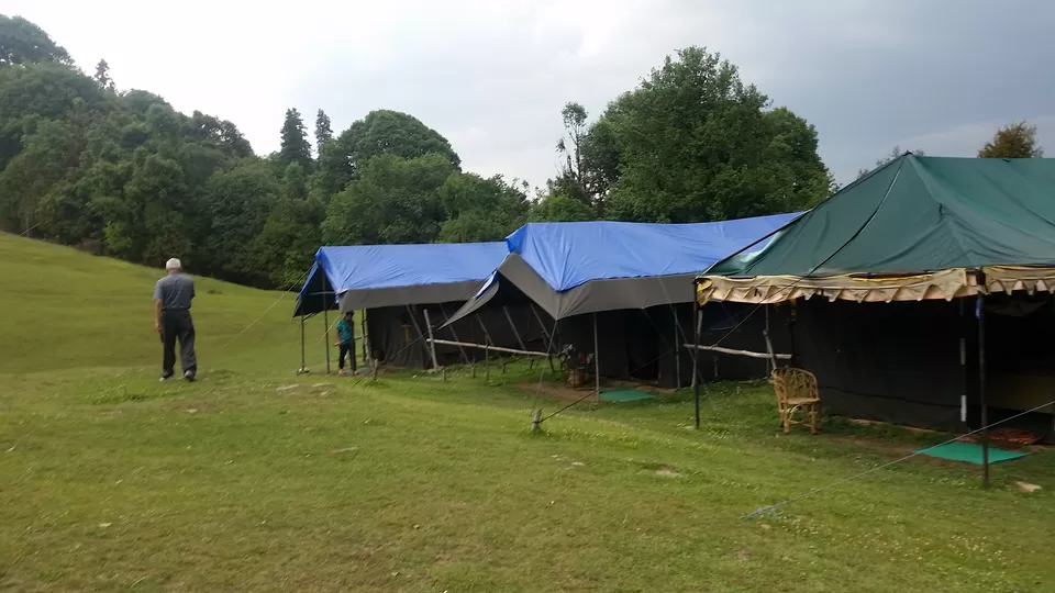Photo of Chopta, Uttarakhand, India by Tanushree Jain