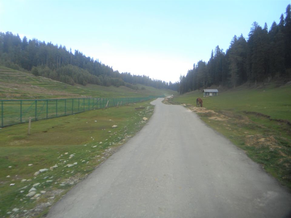 Photo of Gulmarg by Tanushree Jain