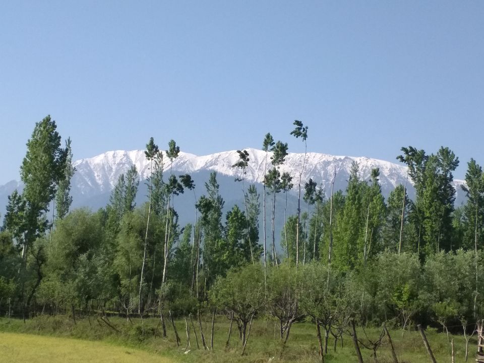 Photo of Gulmarg by Tanushree Jain