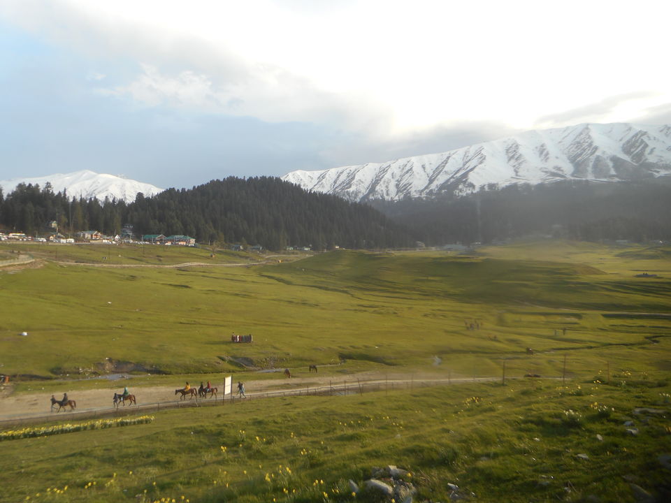 Photo of Gulmarg by Tanushree Jain