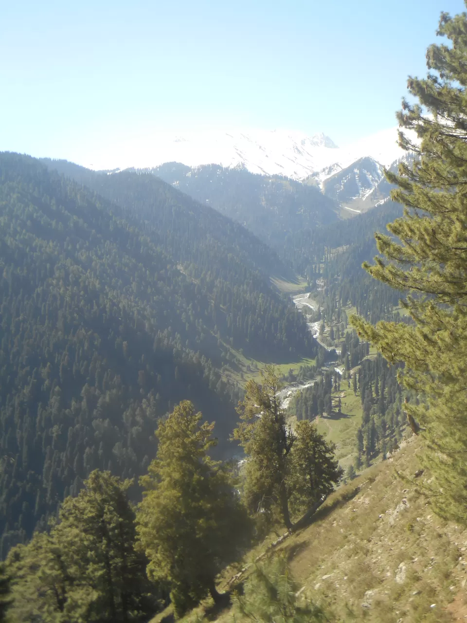 Photo of Gulmarg by Tanushree Jain